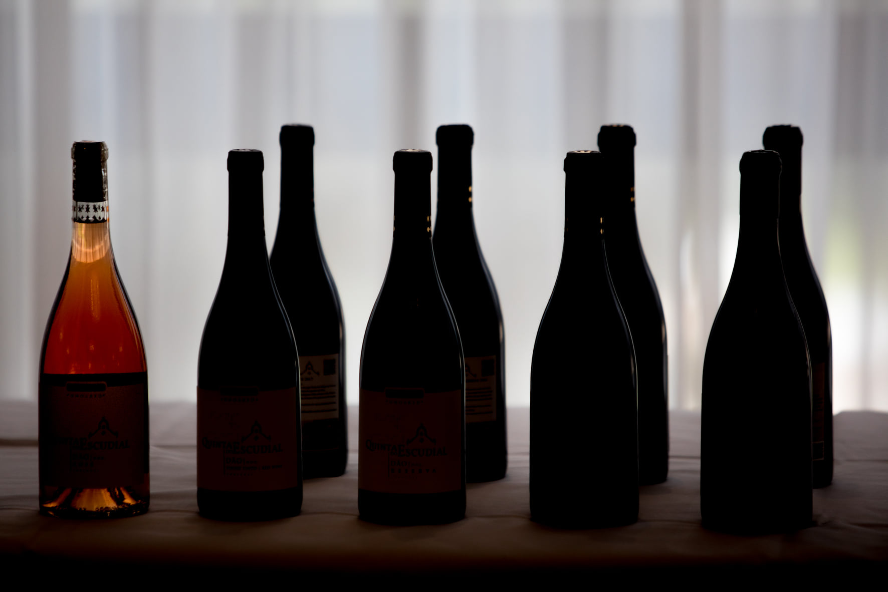 🎟️ Bilhete VIP: A Nova Experiência Premium do Enóphilo Wine Fest