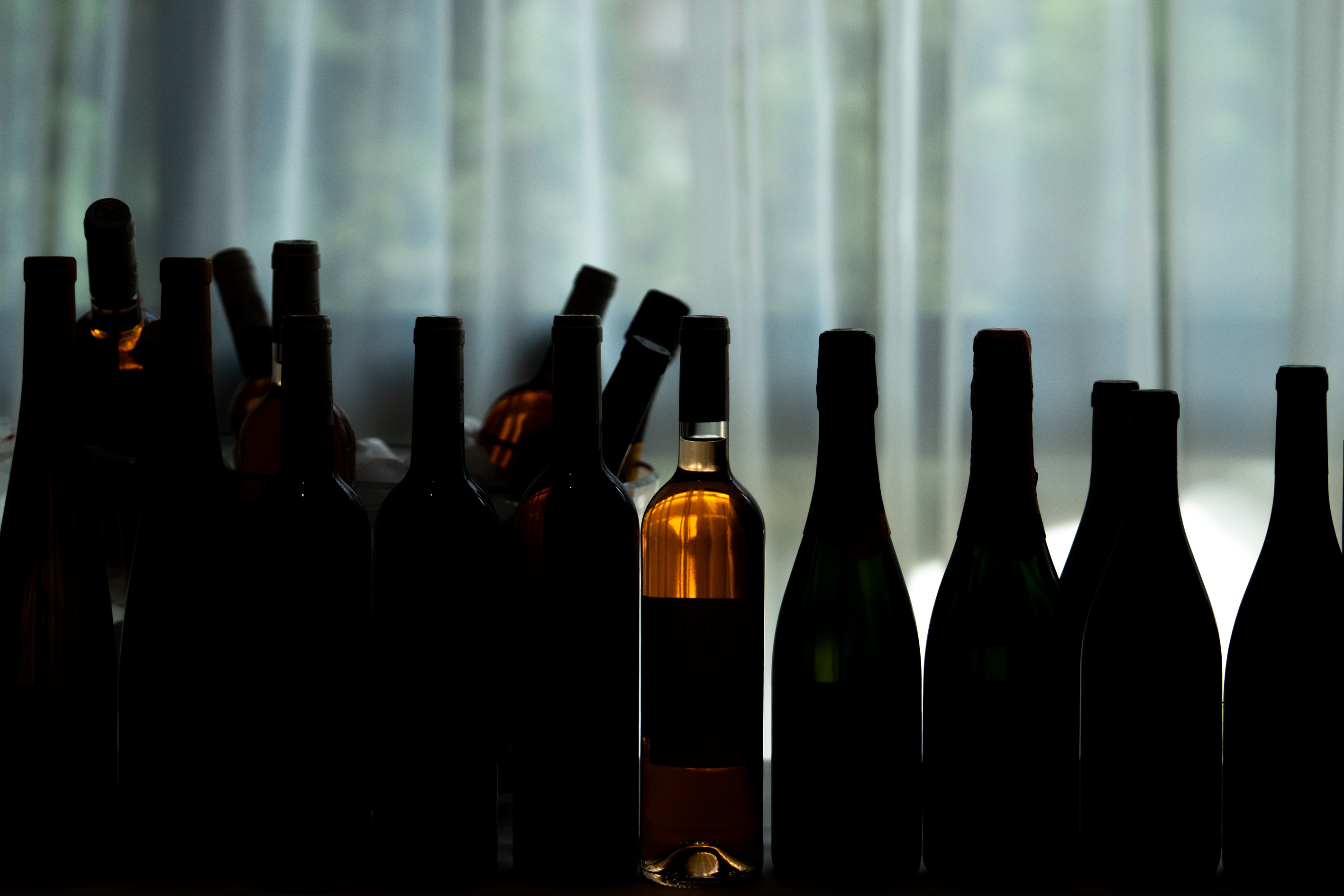 🎟️ Bilhete VIP: A Nova Experiência Premium do Enóphilo Wine Fest